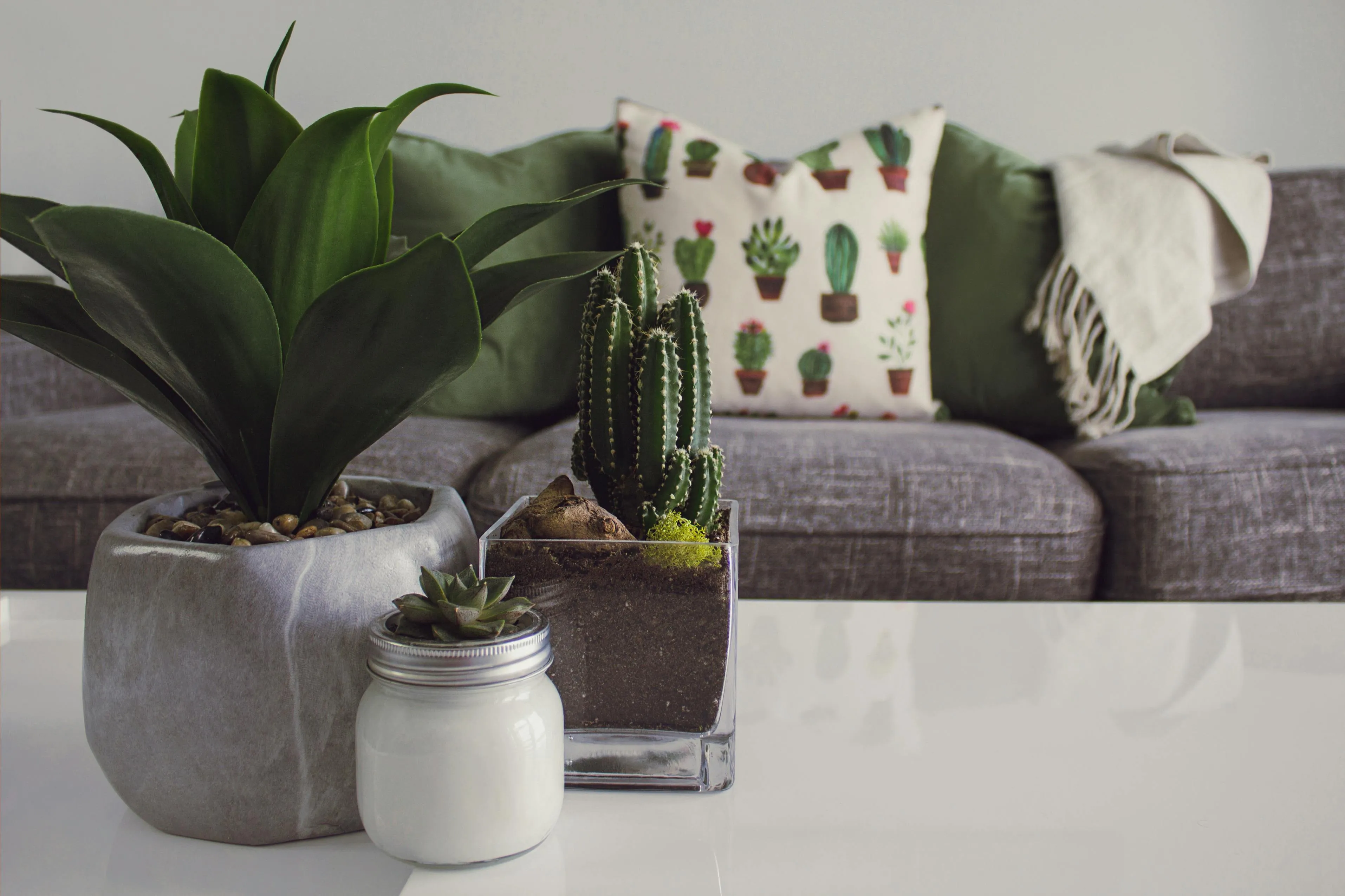 Tendências de decoração para 2025
